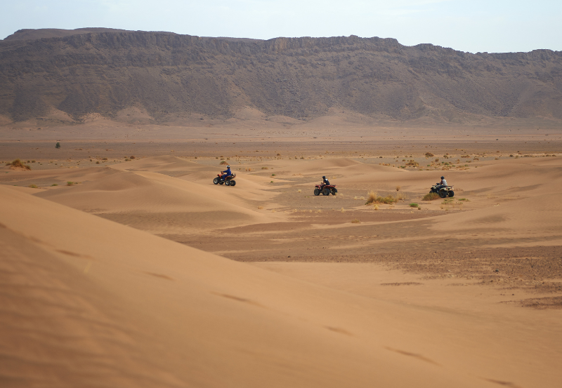 Dune buggies